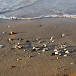 Embrace The Sea Breeze In Bibione